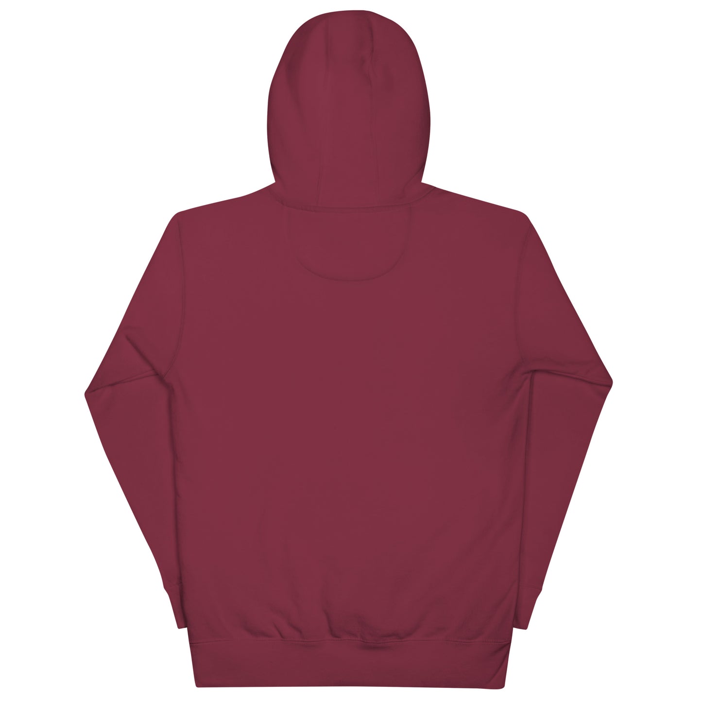 birdshield hoodie