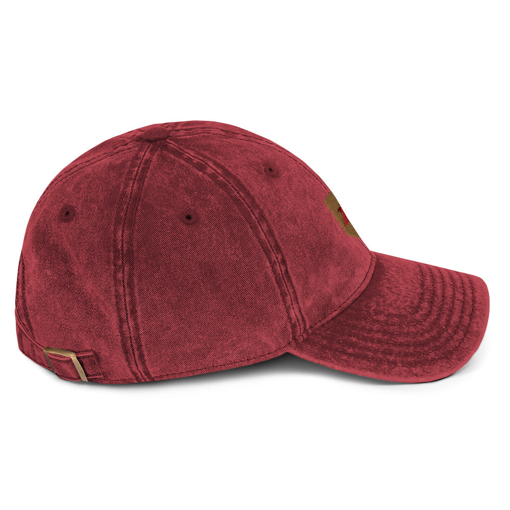 birdshield dad cap