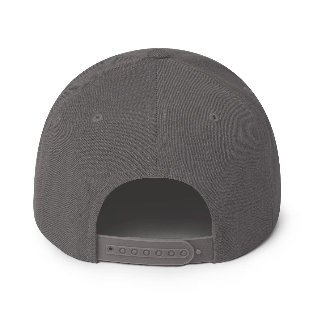 birdshield snapback