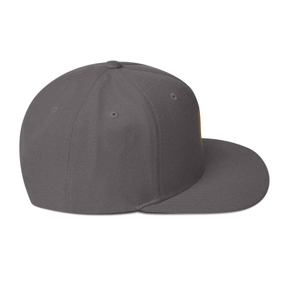 birdshield snapback