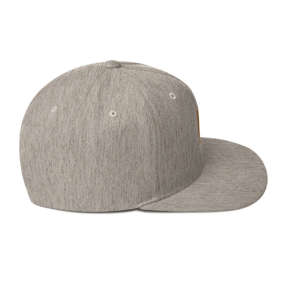 birdshield snapback