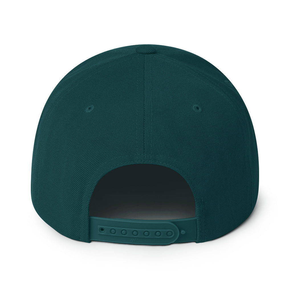 birdshield snapback