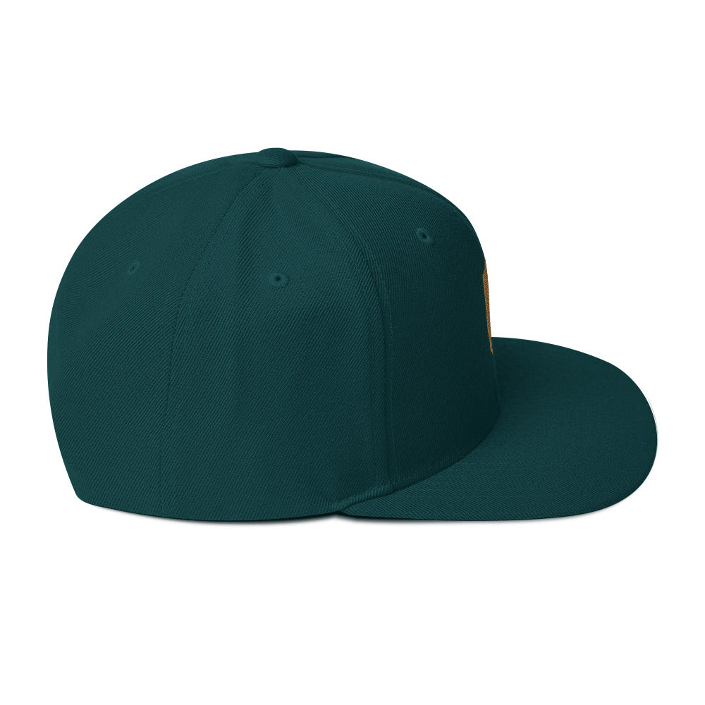 birdshield snapback